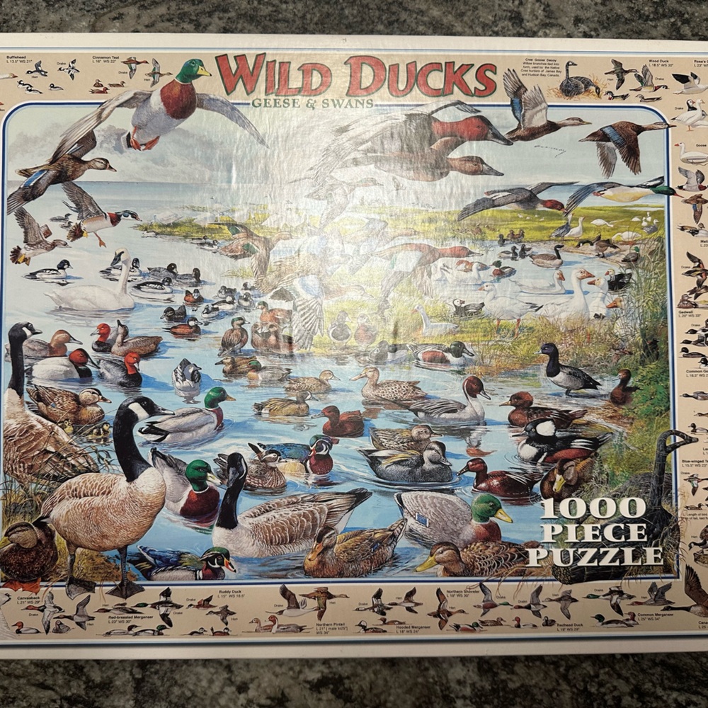 1000 Piece Puzzle